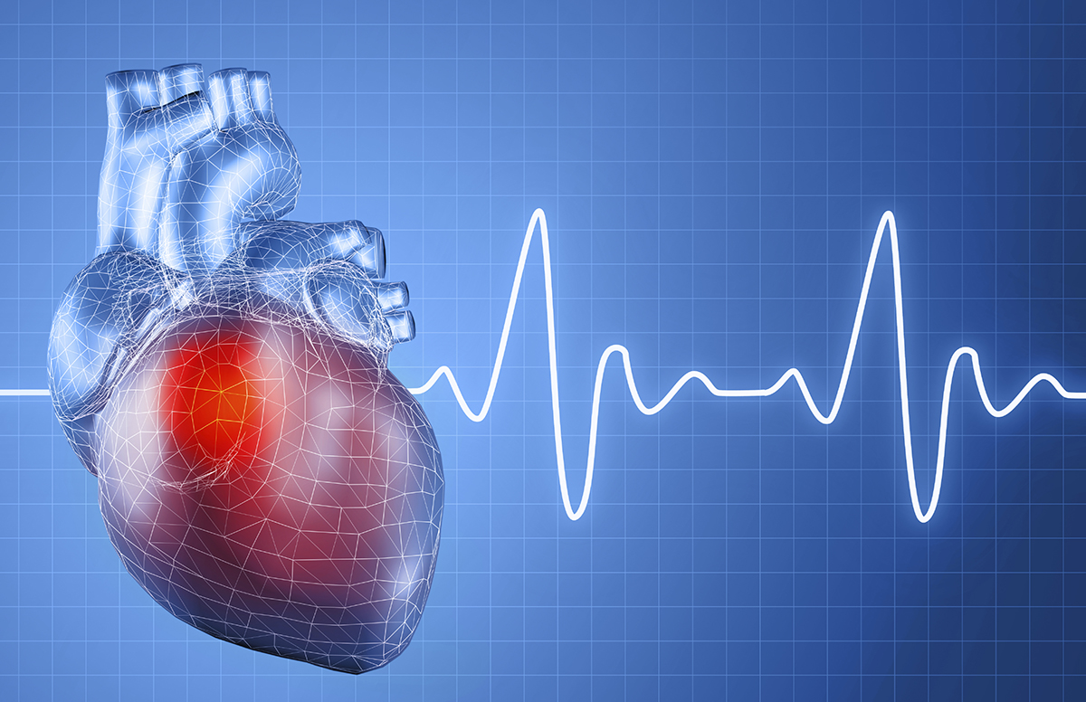 Valores da frequência cardíaca normal, alta ou baixa | Centro Médico H3Med